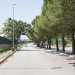 Questultima strada  proprio quella che costeggia il parco...